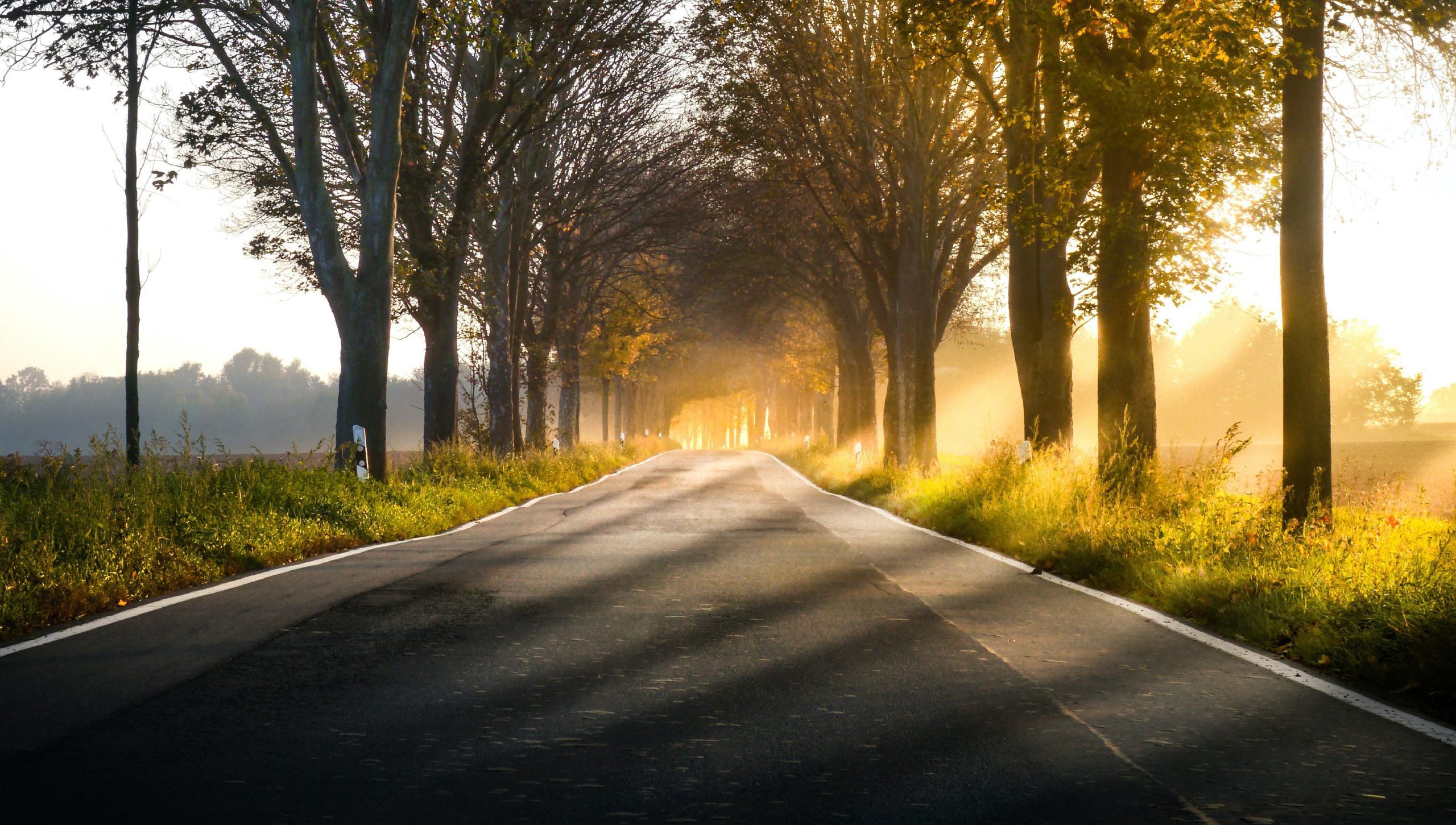 Empty road with sun rays shining through.
