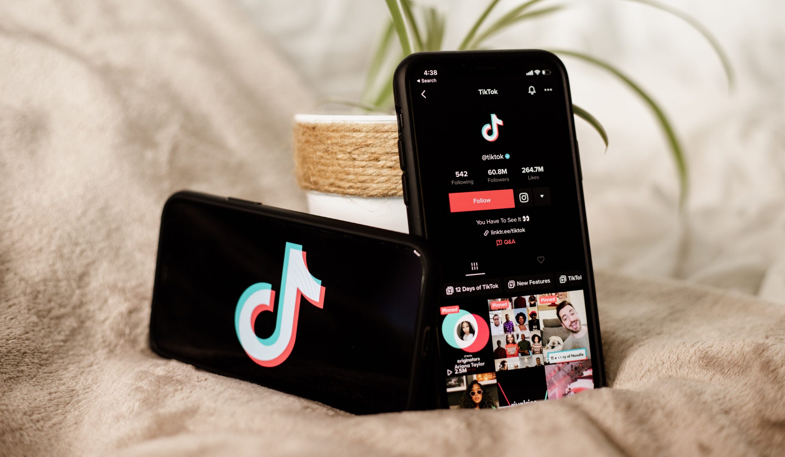 Two smartphones with TikTok app displaying resting on a pot plant.