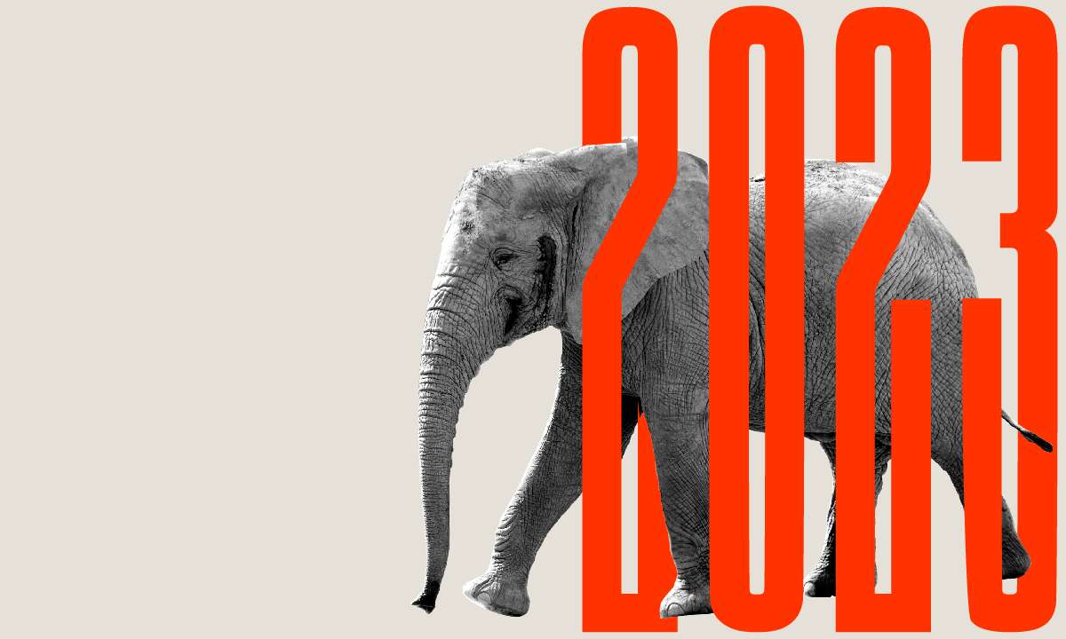 Hunt & Hawk Article Why 2023 Should be the Year of the Elephant