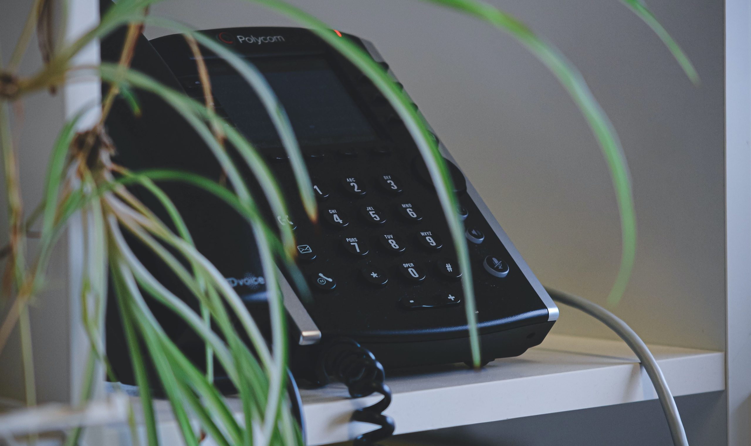 Fax machine obscured by a plant.