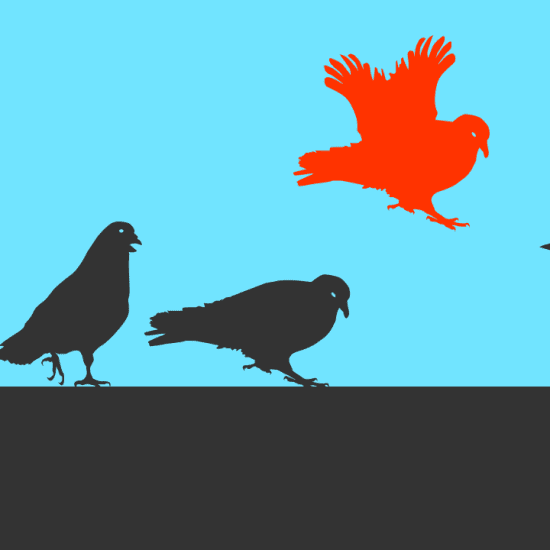 Graphic of birds with one in red flying above the pack.