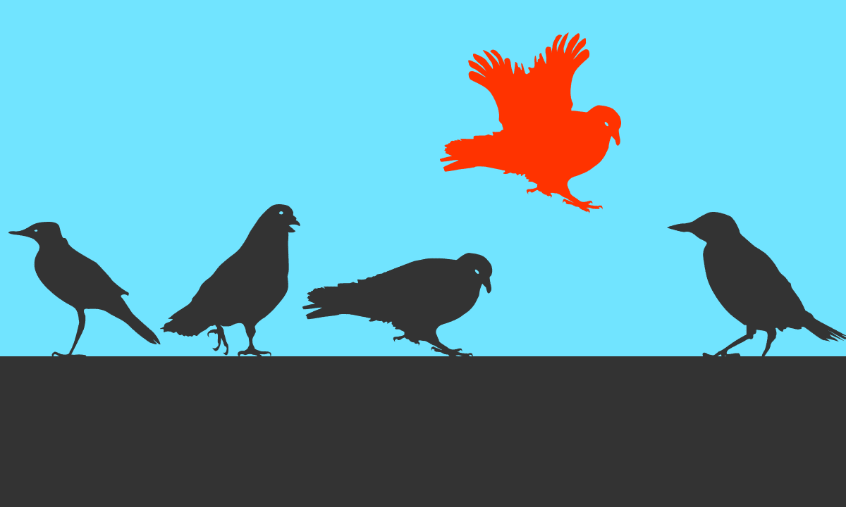 Graphic of birds with one in red flying above the pack.