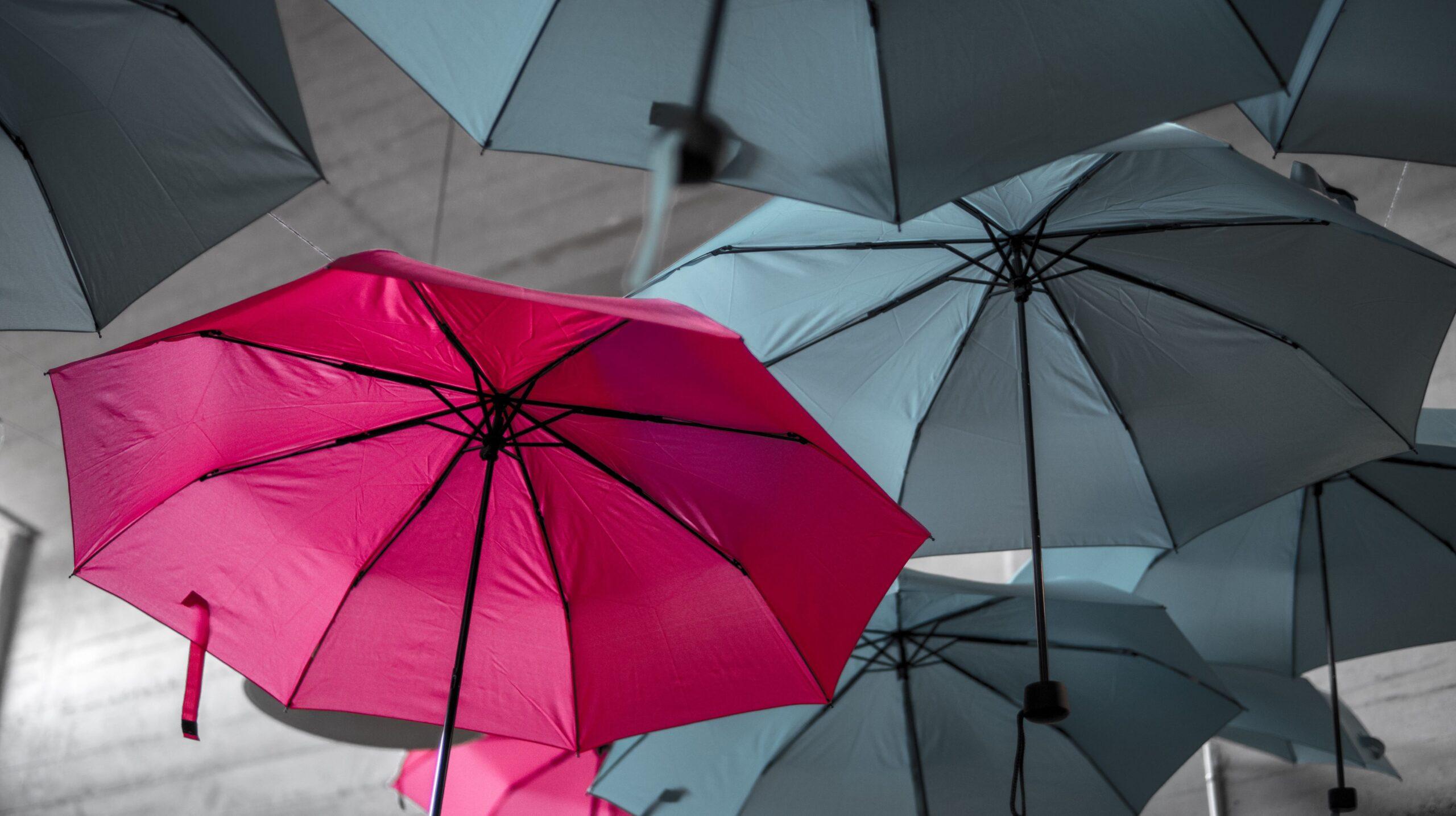 A red-coloured umbrella among grey-coloured umbrellas.