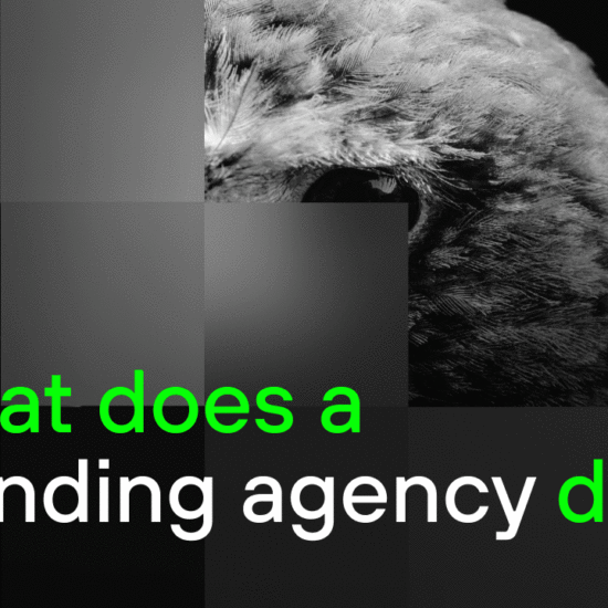 Image of a hawk and a headline: "What does a branding agency do?"