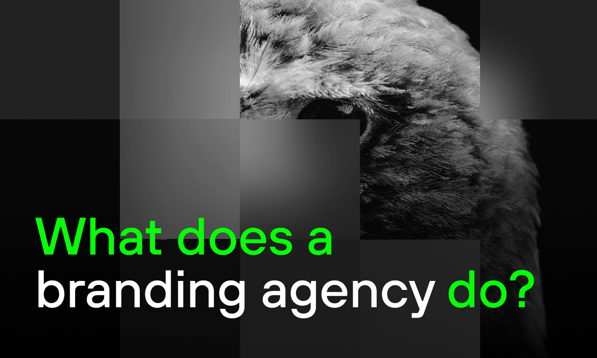 Image of a hawk and a headline: "What does a branding agency do?"
