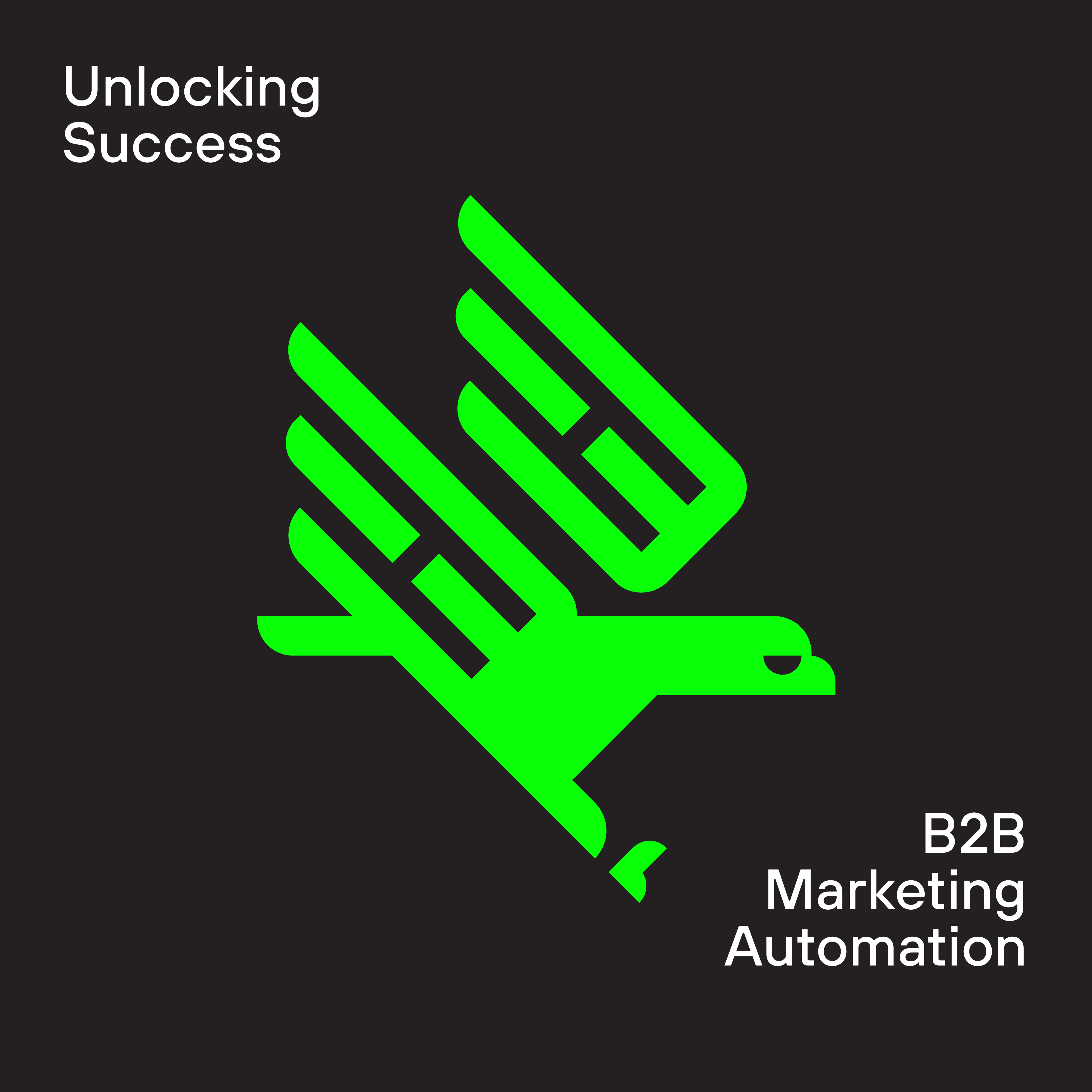 B2B Marketing Automation