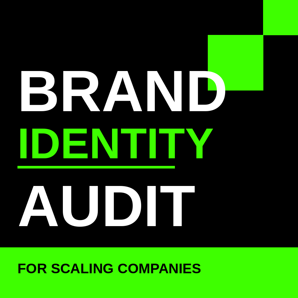 brand identity audit for scaling companies
