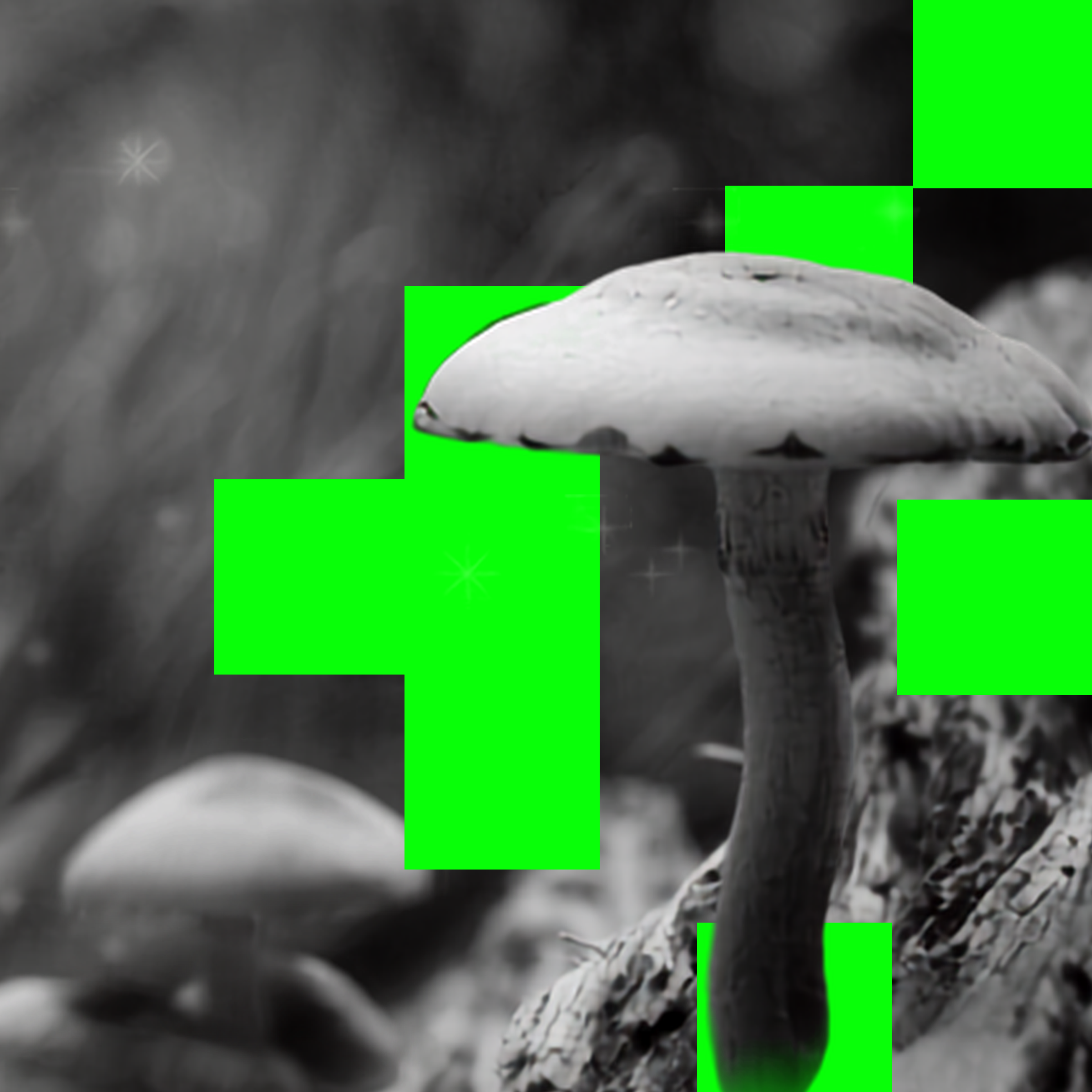 10 Tips to Turn Your Marketing Activity into Real Business Growth | Hunt + Hawk