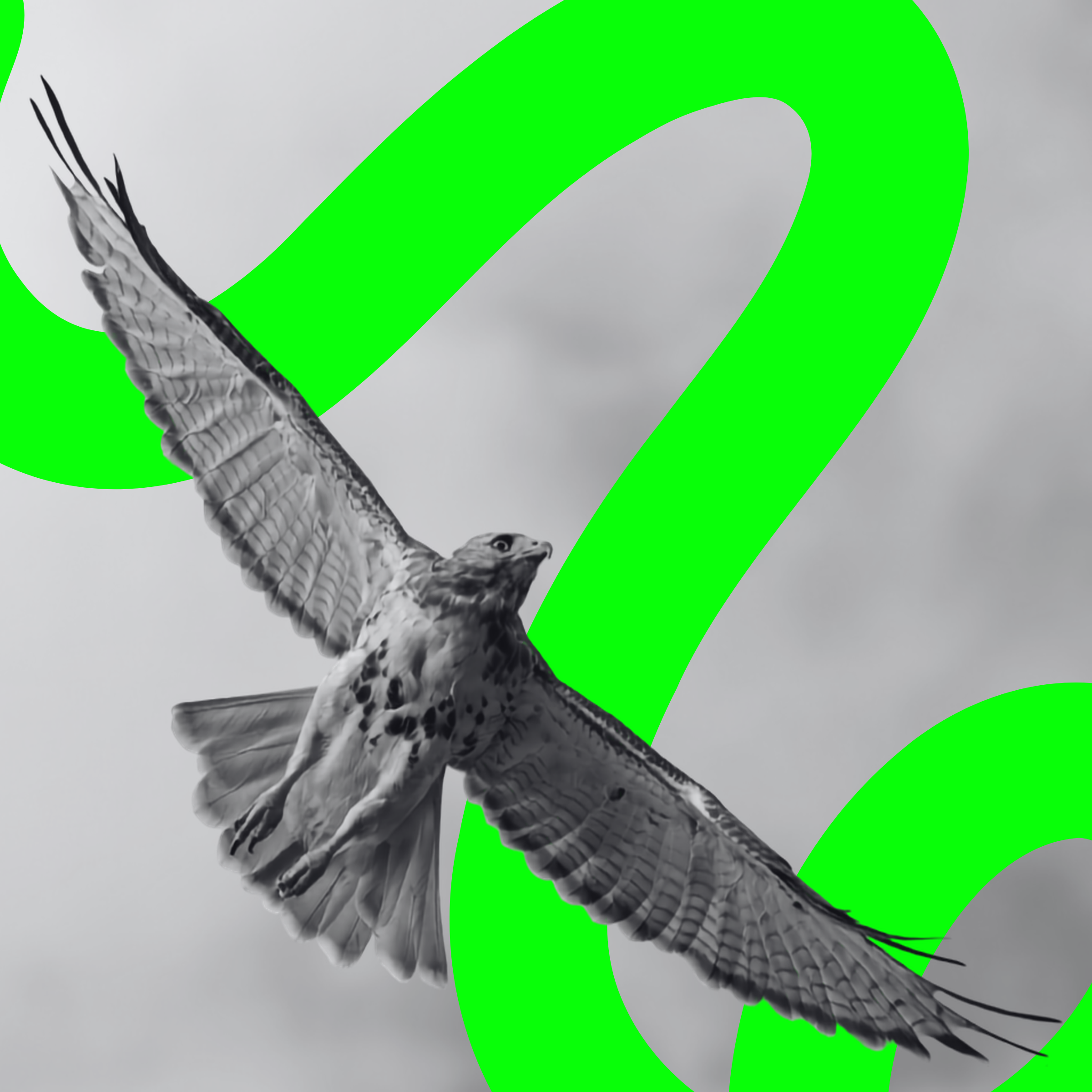 12 Full-Service Agency Capabilities for Integrated Campaign Hunt + Hawk Sales & Marketing Agency