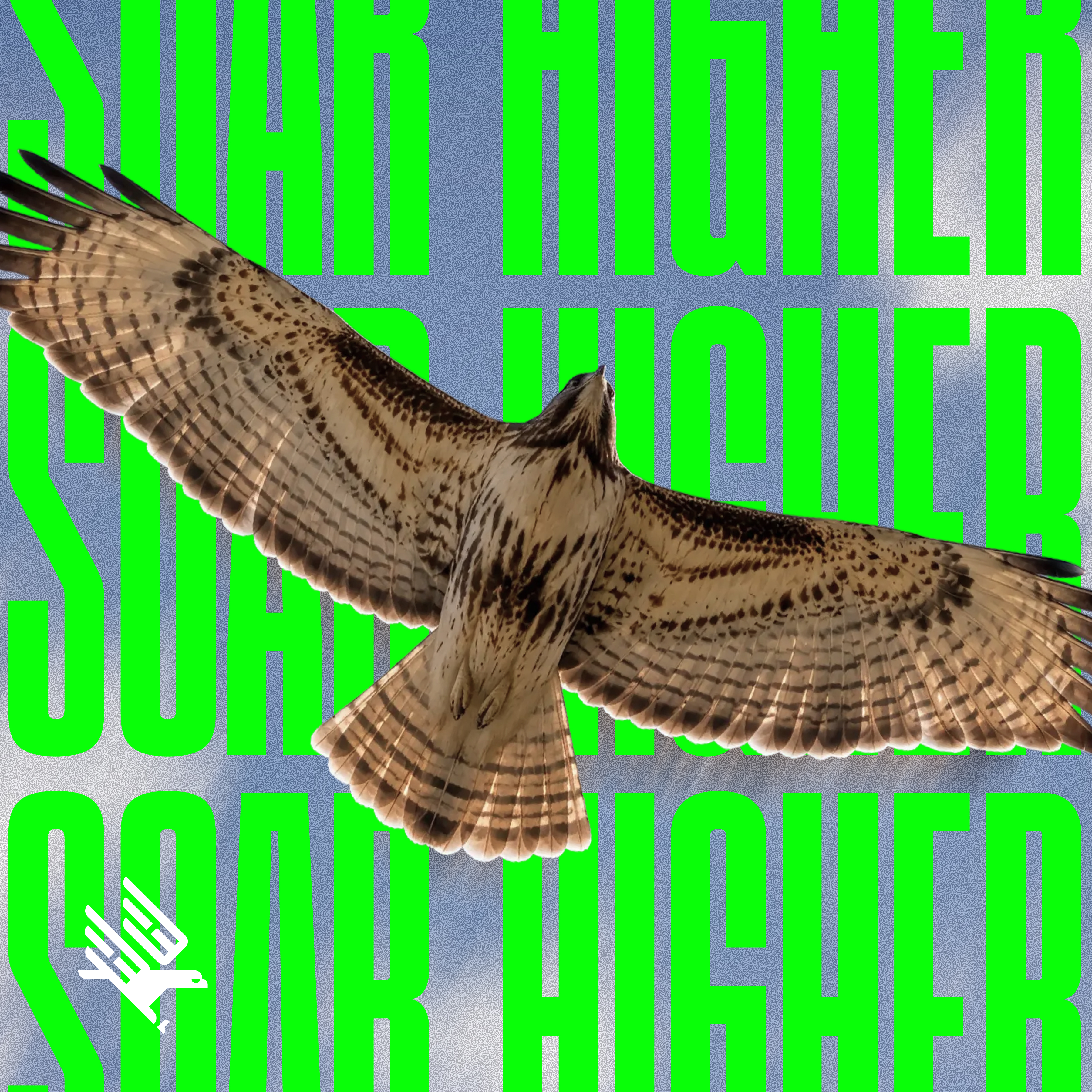 What is growth marketing Hunt + Hawk